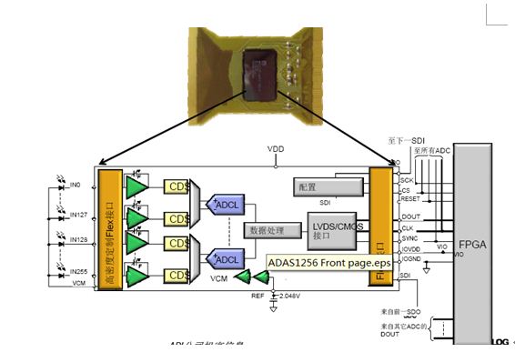 ADAS1256功能框图